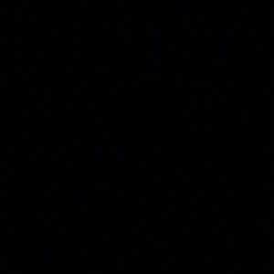 Meet your Posher, Rosy